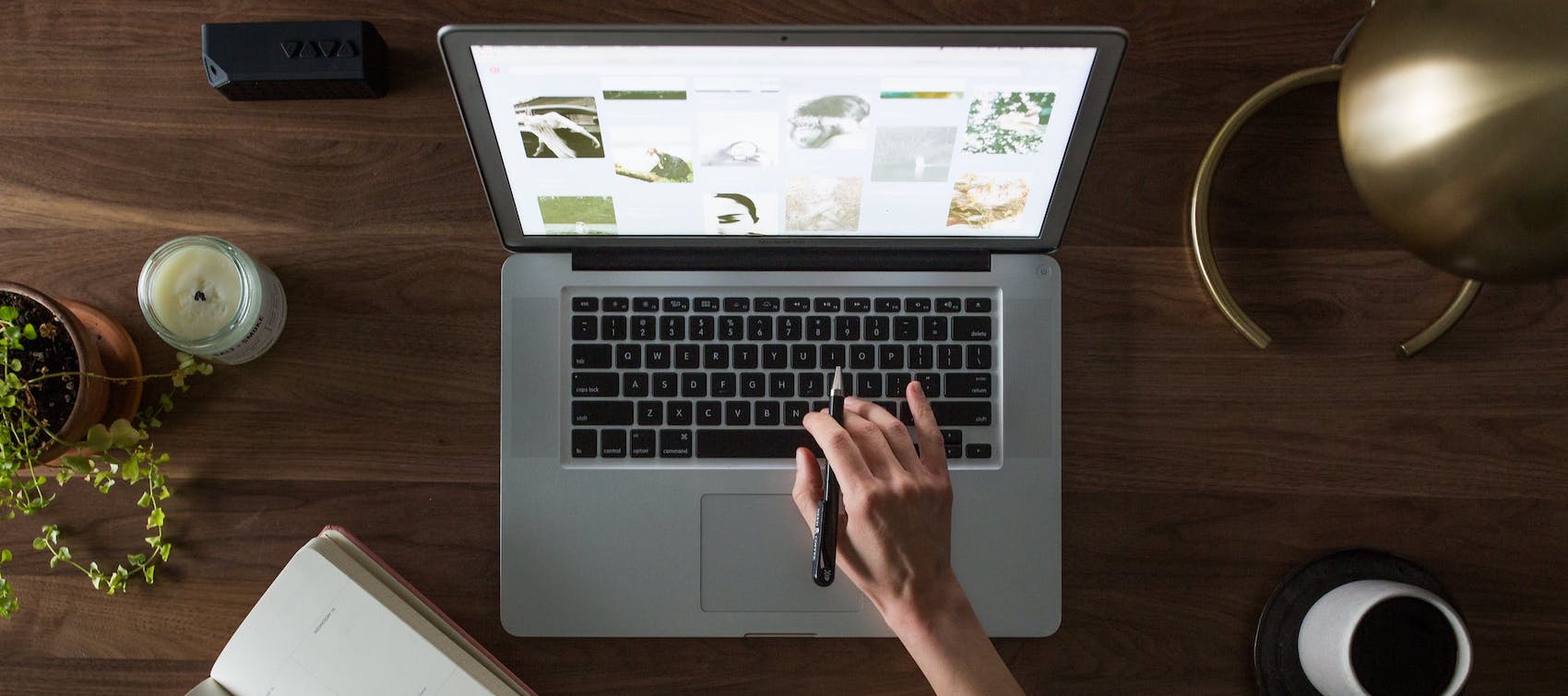 Isabelle J. Wainwright